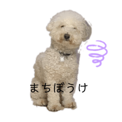 [LINEスタンプ] ロン 2020②