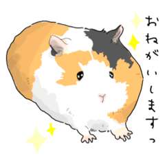 [LINEスタンプ] もっともっともるもっと生活