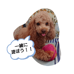 [LINEスタンプ] ソラスタンプU´•ﻌ•`U