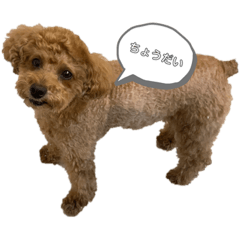 [LINEスタンプ] 愛犬ラヴちゃん♡