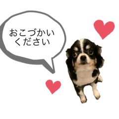 [LINEスタンプ] めい様スタンプ