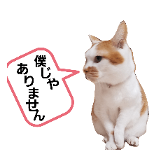 [LINEスタンプ] キハチくん