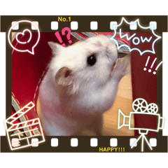[LINEスタンプ] ハムスターパールホワイト