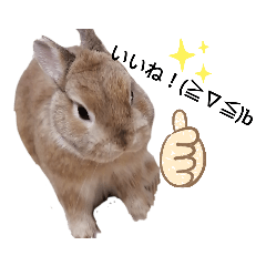 [LINEスタンプ] 小うさぎさん2