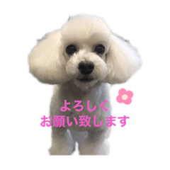 [LINEスタンプ] はなろんスタンプ あいさつ