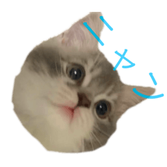 [LINEスタンプ] まもるとウルル