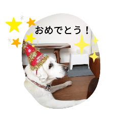 [LINEスタンプ] トマーシュ成長記2