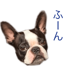 [LINEスタンプ] レオンさんのスタンプ 2nd
