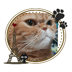 [LINEスタンプ] エキゾチックたま