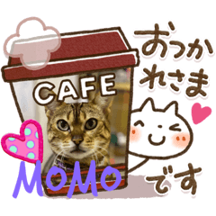 [LINEスタンプ] ベンガルズと、ともえさんの番外編⑧