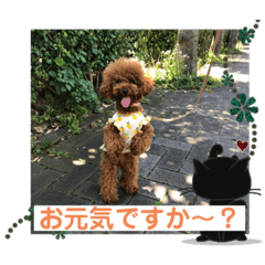 [LINEスタンプ] くるみのスタンプPart5
