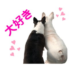 [LINEスタンプ] 我が家の可愛い愛犬2