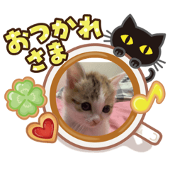 [LINEスタンプ] みぃちゃん12210301