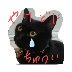 [LINEスタンプ] ミニャニャ2