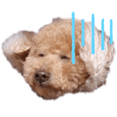 [LINEスタンプ] 砂川家のりょうまくん