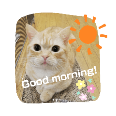 [LINEスタンプ] ゆったり ゆったさん