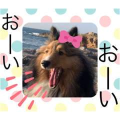 [LINEスタンプ] シェリぽんと愉快な仲間たち