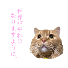 [LINEスタンプ] 垣花ちゅらくん