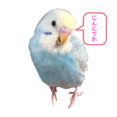 [LINEスタンプ] めいandキキ