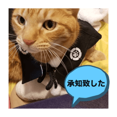 [LINEスタンプ] ムギにょんファミリー