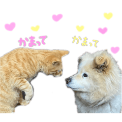 [LINEスタンプ] ファミリーペットスタンプ