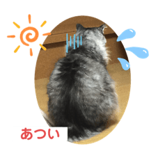 [LINEスタンプ] 夢猫5