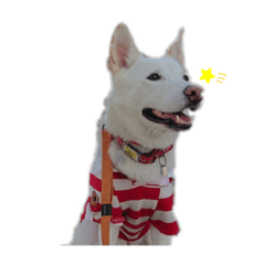 [LINEスタンプ] りょうたつだ