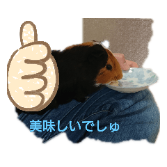 [LINEスタンプ] k--