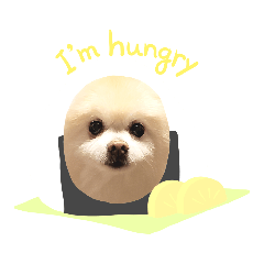 [LINEスタンプ] みーとぐーとうっちー