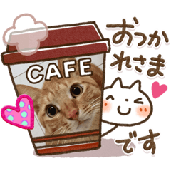 [LINEスタンプ] 大好きにゃんこ
