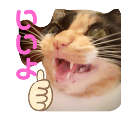 [LINEスタンプ] アンリコリン 2