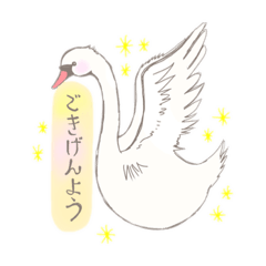 [LINEスタンプ] 麗しの白鳥スタンプの画像（メイン）