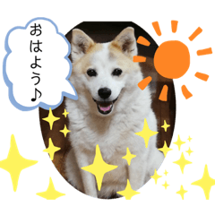[LINEスタンプ] 我が家のテン様