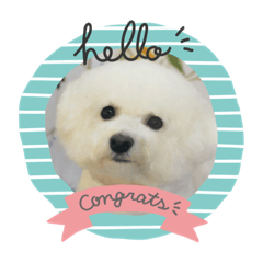 [LINEスタンプ] ビジョンフリーゼ、モチ