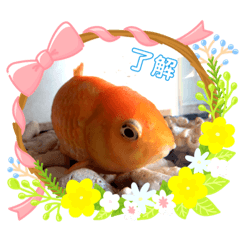 [LINEスタンプ] ちょこぴ ちゃん