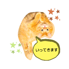 [LINEスタンプ] 使える日常ネコスタンプ(イケメントーリ♡)