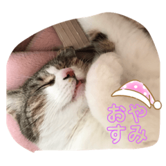 [LINEスタンプ] ふくちゃんのひらがな2