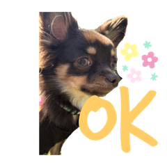 [LINEスタンプ] 毎日ポン