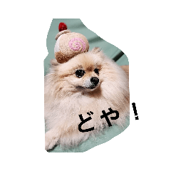 [LINEスタンプ] king marron3
