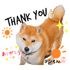 [LINEスタンプ] お空組☆愛犬スタンプ