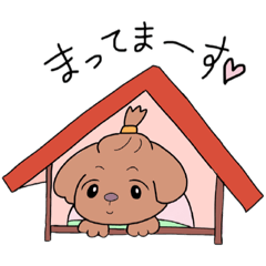 [LINEスタンプ] シーズー犬、たくろう
