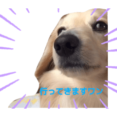 [LINEスタンプ] ぷくしむっくん