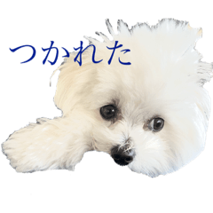 [LINEスタンプ] ニコのあいさつ