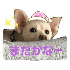 [LINEスタンプ] ぽーたんぷ  2