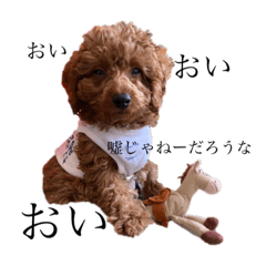 [LINEスタンプ] 犬てきに。