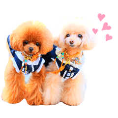 [LINEスタンプ] アンジュ＆オト