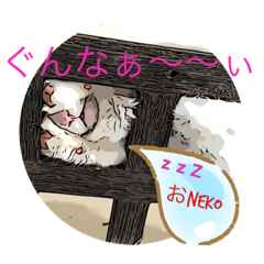 [LINEスタンプ] おNEKOちゃん
