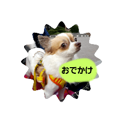 [LINEスタンプ] ちょろちゅ