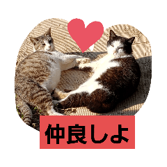 [LINEスタンプ] にゃんにゃんとやぎ