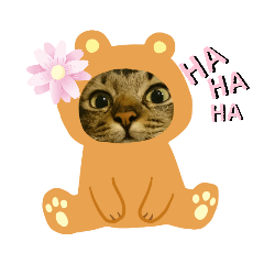 [LINEスタンプ] Kuma三昧